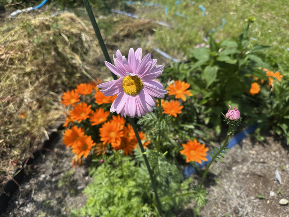 ２０２５年５月３日