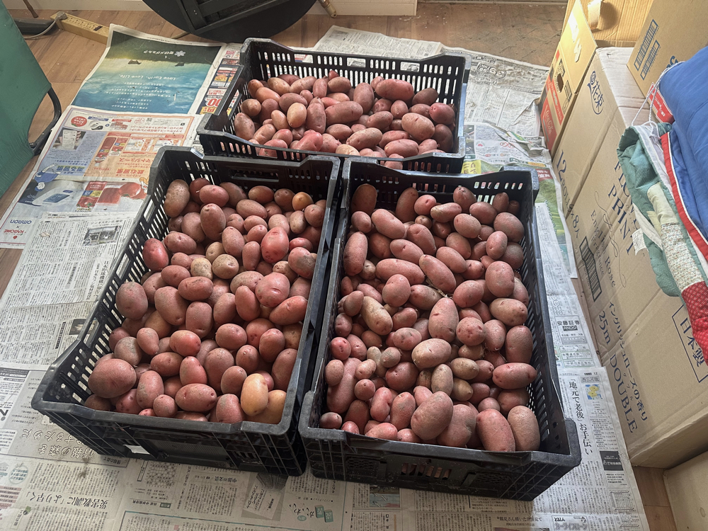 ２０２５年６月１３日