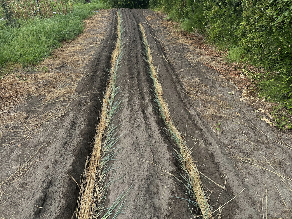 ２０２５年７月１６日