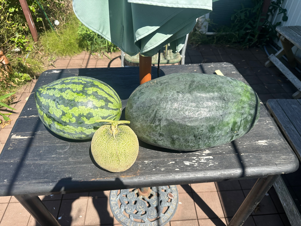 ２０２５年７月２１日