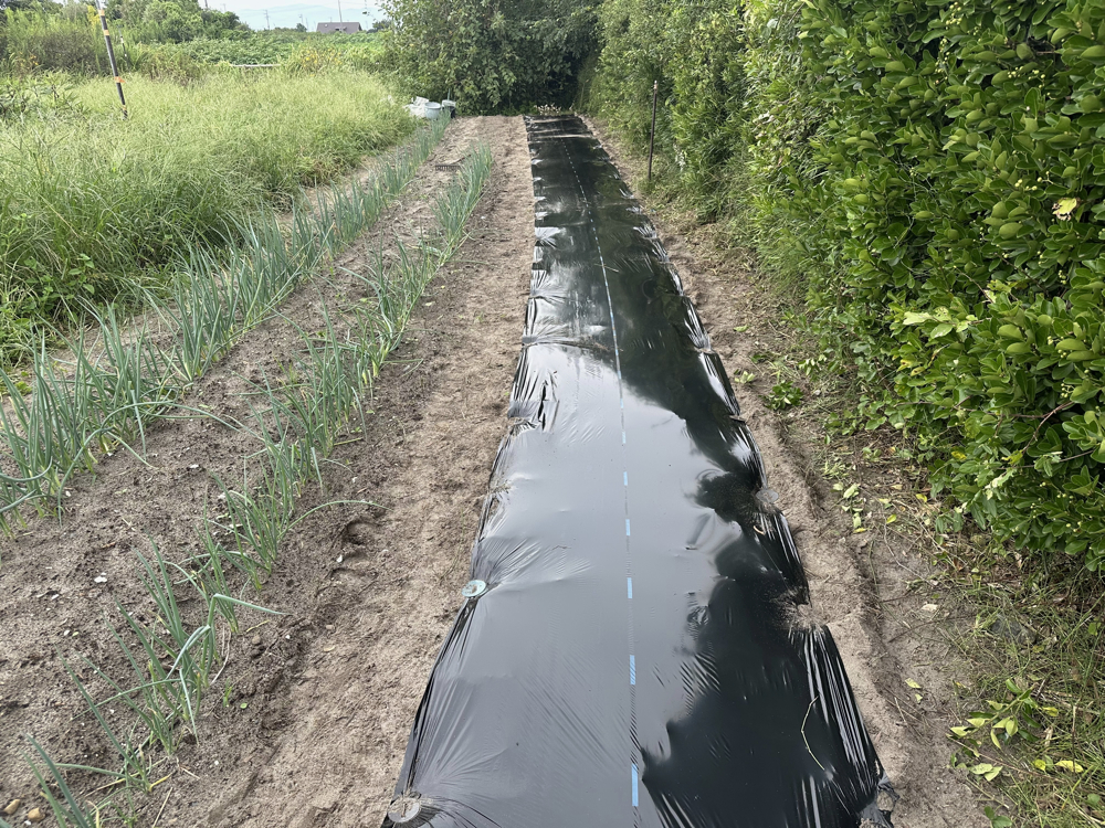 ２０２５年９月１５日