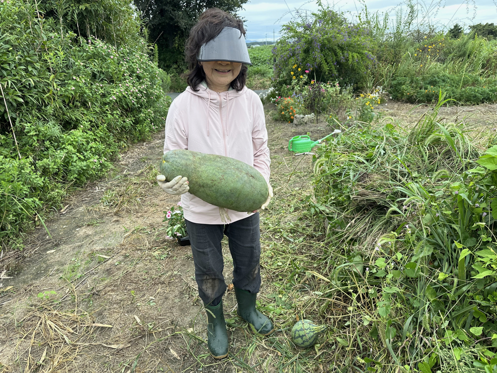 ２０２５年９月２０日