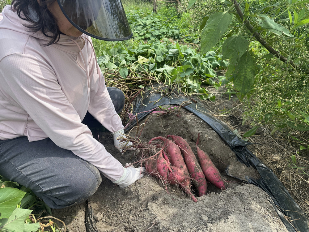 ２０２５年９月２７日