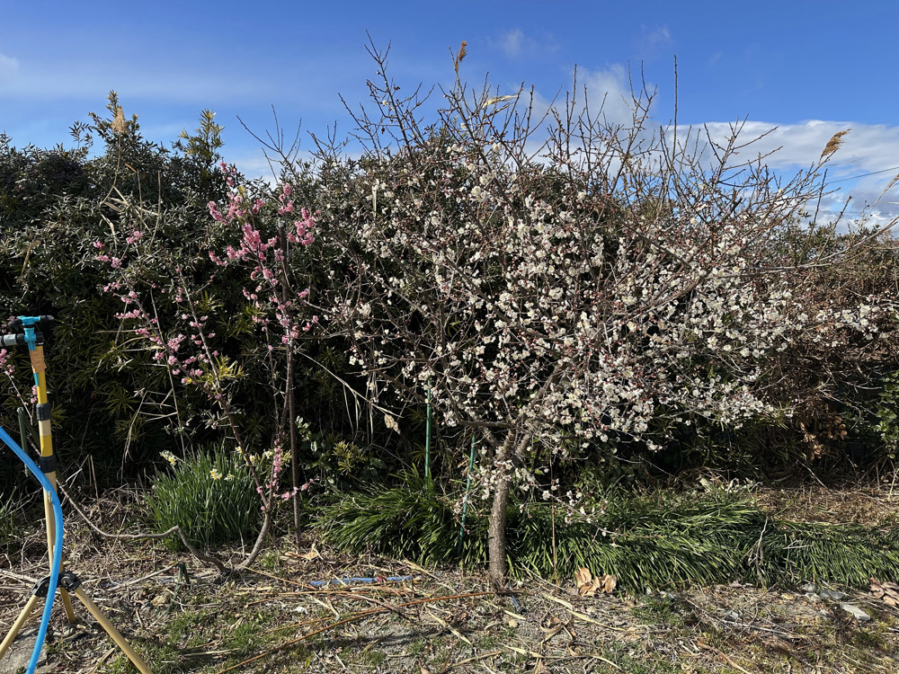 ２０２６年２月８日