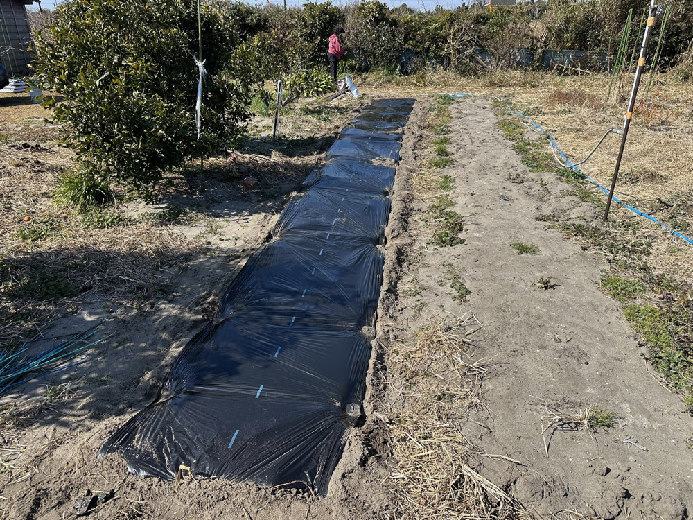 ２０２６年２月２１日