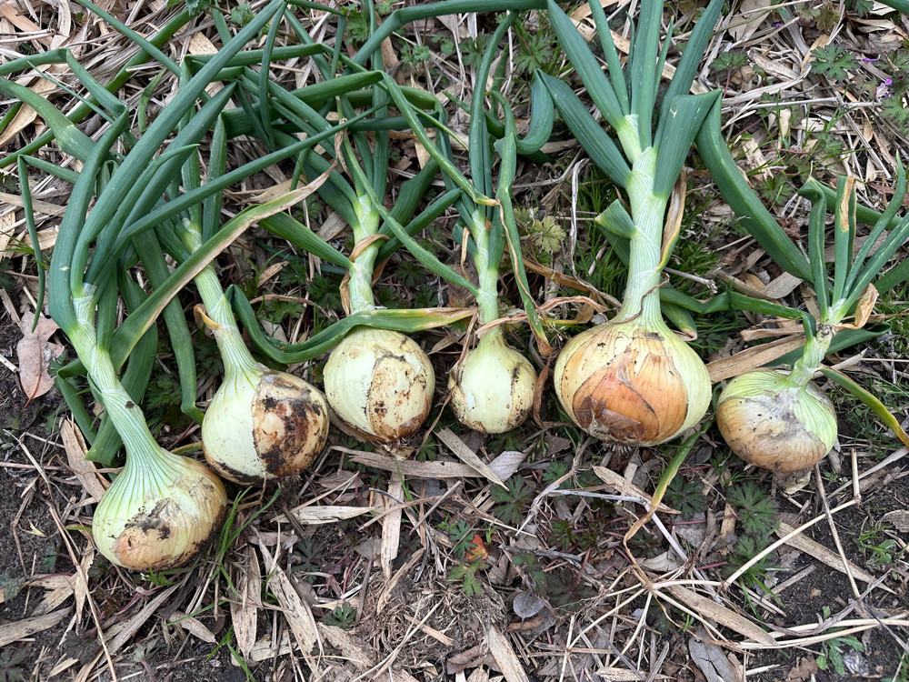 ２０２６年３月２日