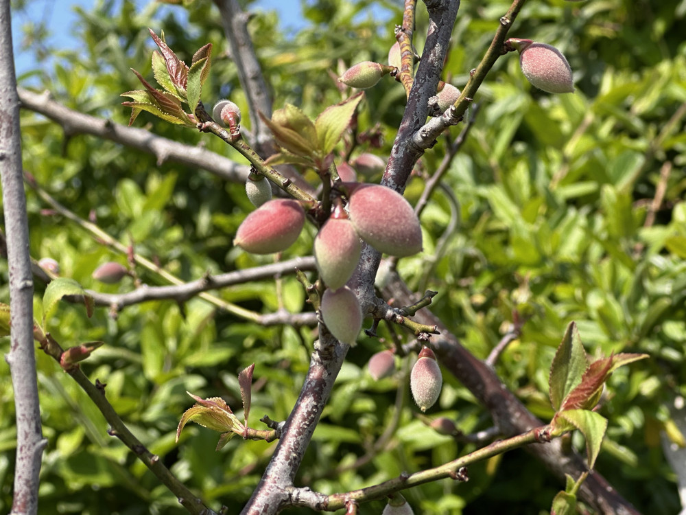 ２０２６年３月２１日