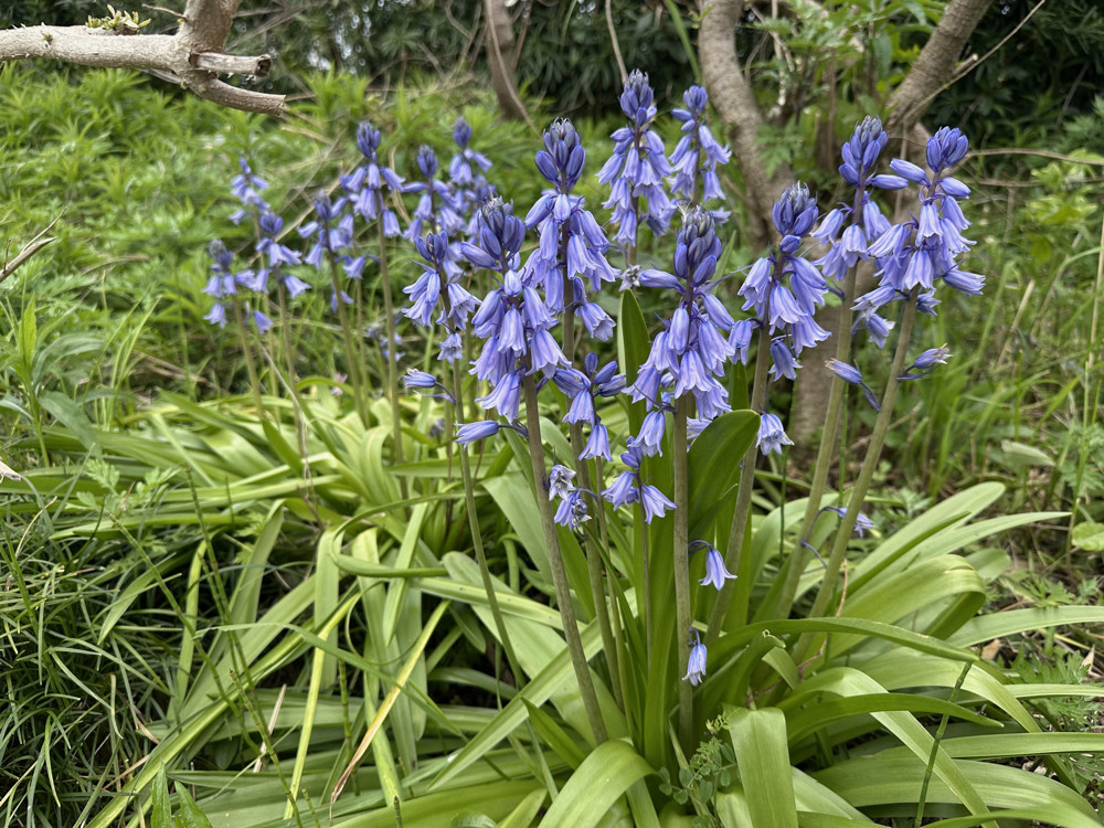 ２０２６年４月１３日
